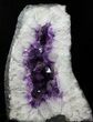 Dark Amethyst Geode From Brazil - lbs #34436-3